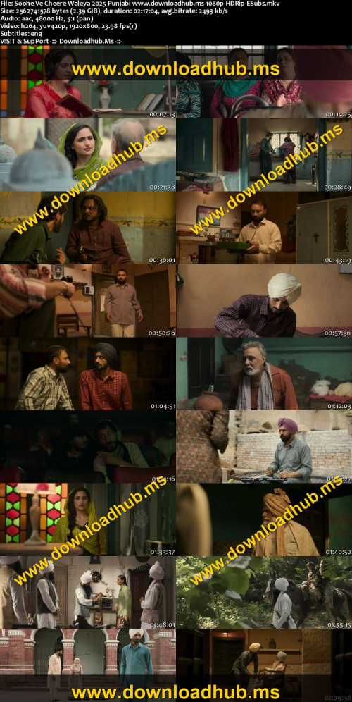 Soohe-Ve-Cheere-Waleya-2025-Punjabi-www.downloadhub.ms-1080p-HDRip-ESubs_s.jpg