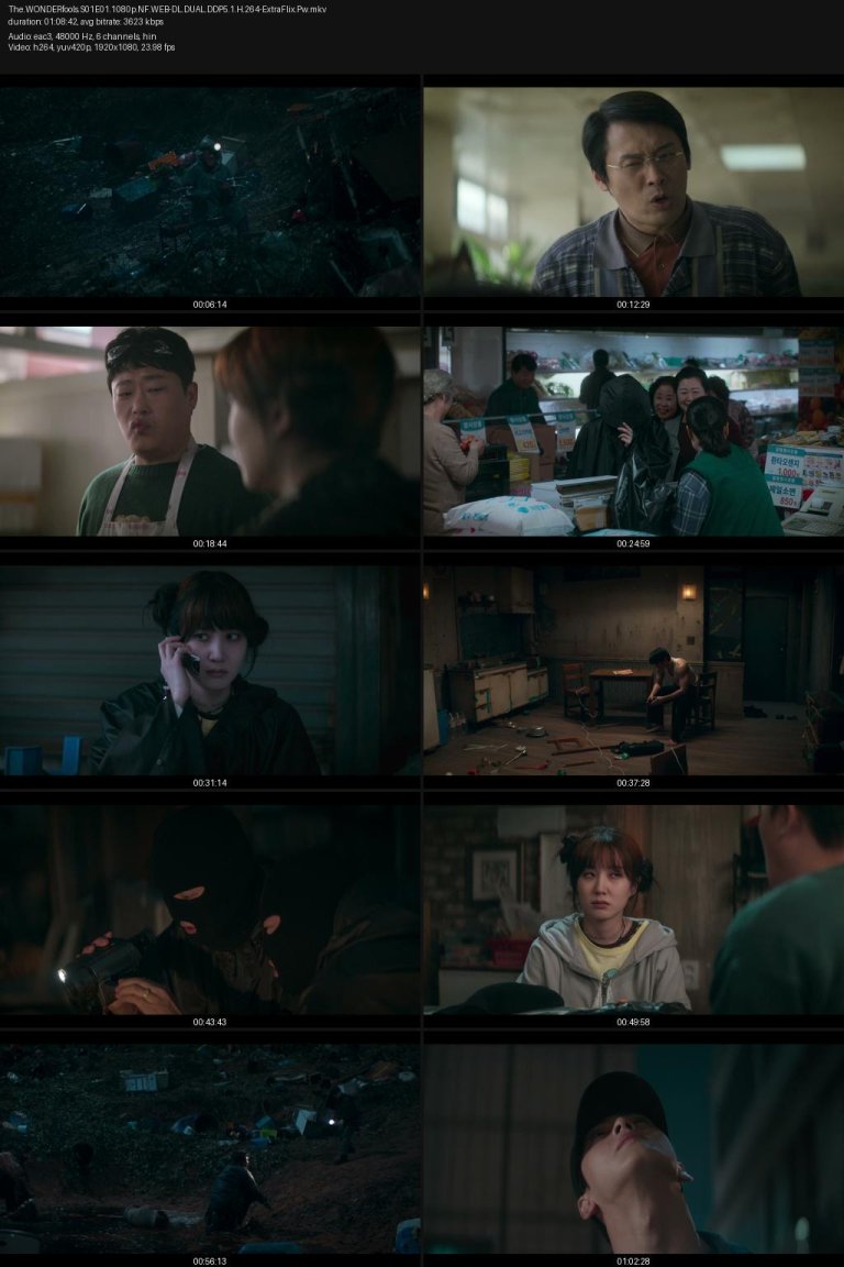 The.WONDERfools.S01E01.1080p.NF.WEB-DL.DUAL.DDP5.1.H.264-ExtraFlix.Pw.jpg