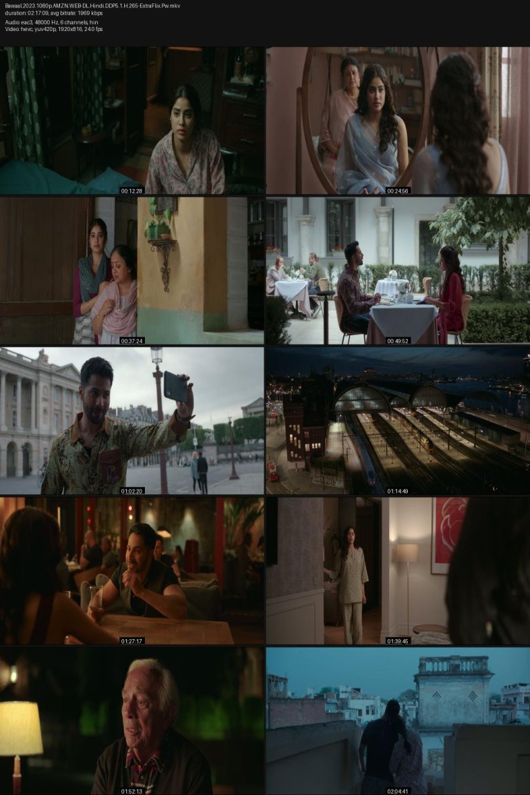 Bawaal.2023.1080p.AMZN.WEB-DL.Hindi.DDP5.1.H.265-ExtraFlix.Pw.jpg