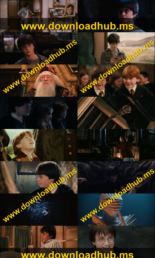 Harry-Potter-and-the-Philosophers-Stone-2001-Hindi-ORG-Dual-Audio-www.ExtraFlix.pw-720p-BluRay-x264-ESubs_s.jpg
