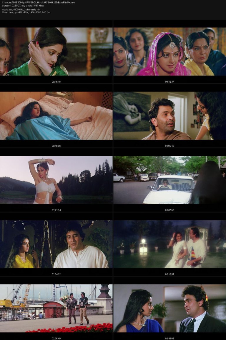 Chandni.1989.1080p.NF.WEB-DL.Hindi.AAC2.0.H.265-ExtraFlix.Pw.jpg