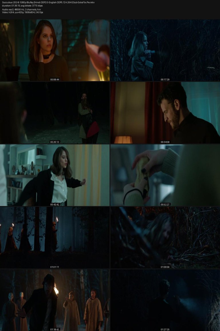 Succubus-2024-1080p-BluRay-Hindi-DDP2.0-English-DDP5.1-H.264-ESub-ExtraFlix.Pw.jpg