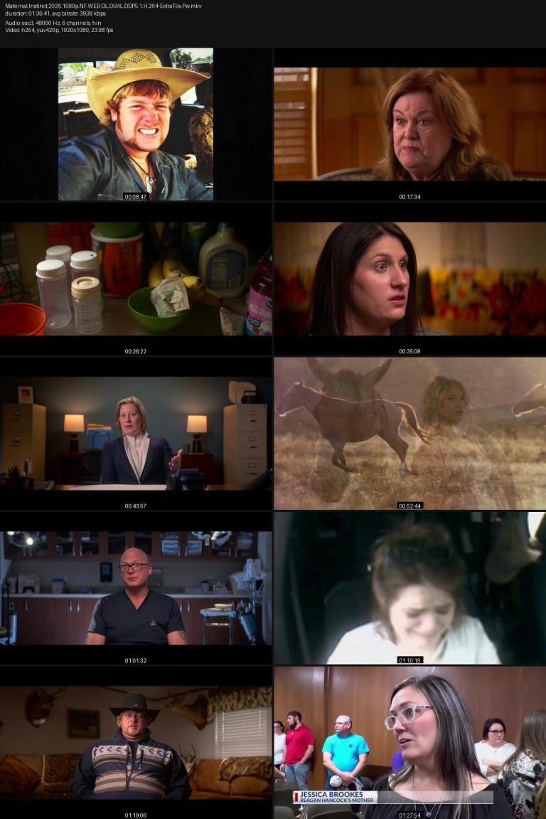 Maternal.Instinct.2026.1080p.NF.WEB-DL.DUAL.DDP5.1.H.264-ExtraFlix.Pw.jpg