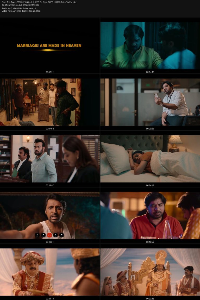 Save.The.Tigers.S03E01.1080p.JHS.WEB-DL.DUAL.DDP5.1.H.265-ExtraFlix.Pw.jpg