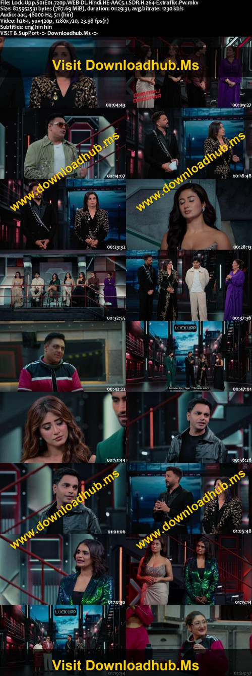 Lock.Upp.S01E01.720p.WEB-DL.Hindi.HE-AAC5.1.SDR.H.264-Extraflix.Pw_s.jpg