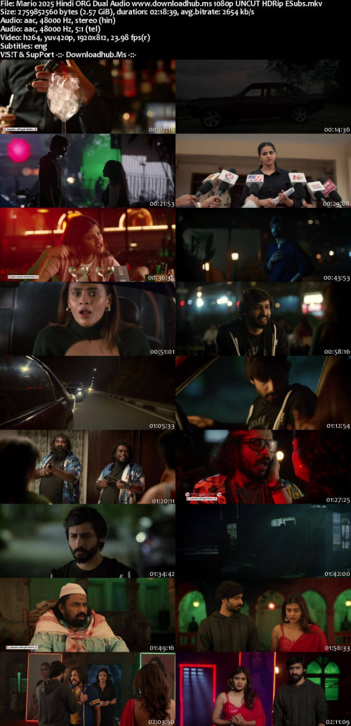 Mario-2025-Hindi-ORG-Dual-Audio-www.downloadhub.ms-1080p-UNCUT-HDRip-ESubs_s.jpg