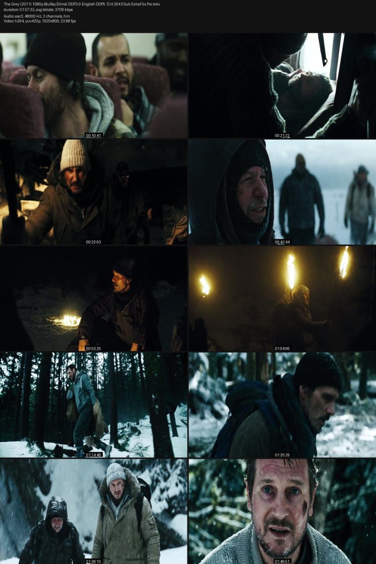 The-Grey-2011-1080p-BluRay-Hindi-DDP2.0-English-DDP5.1-H.264-ESub-ExtraFlix.Pw.jpg