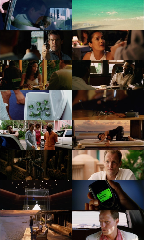 After.the.Sunset.2004.1080p.BluRay.Hindi.English.DD2.0.x264.ESubs.Untouch_s.jpg