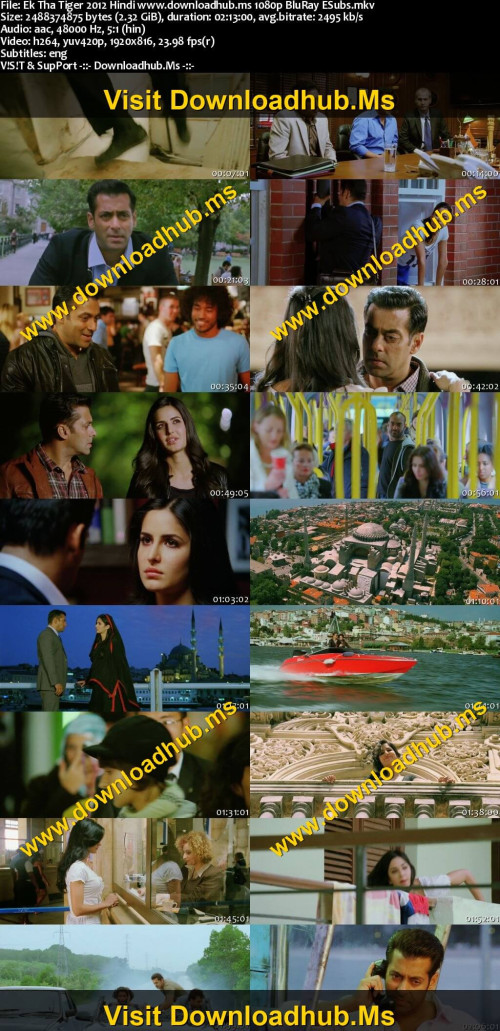 Ek-Tha-Tiger-2012-Hindi-www.downloadhub.ms-1080p-BluRay-ESubs_s.jpg