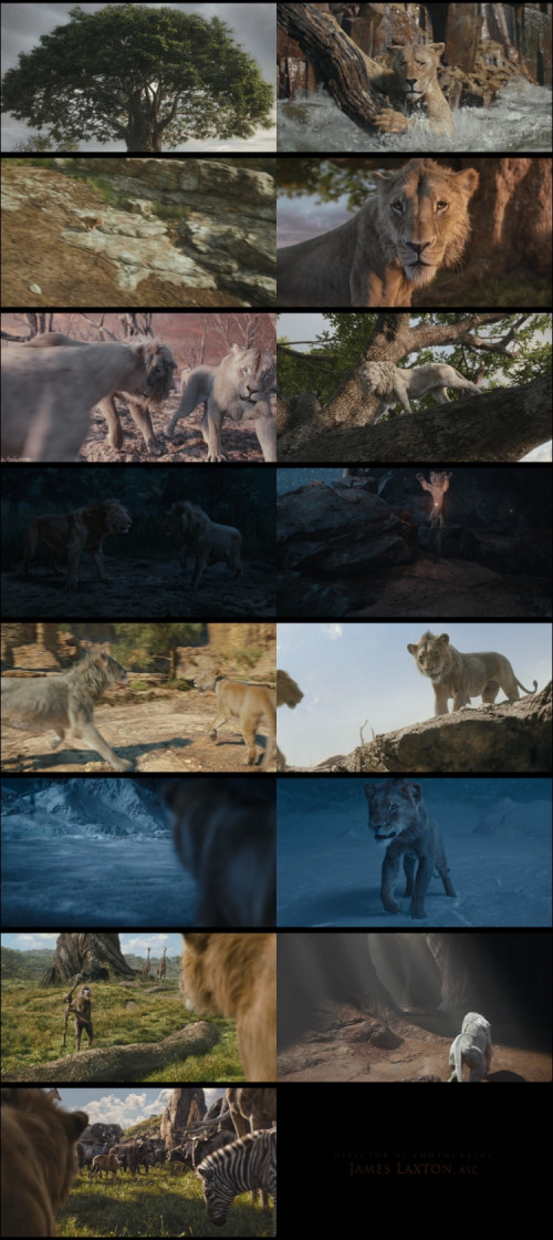 Mufasa.The.Lion.King.2024.1080p.BluRay.Hindi.English.DD5.1.x264.ESubs.Untouch_s.jpg