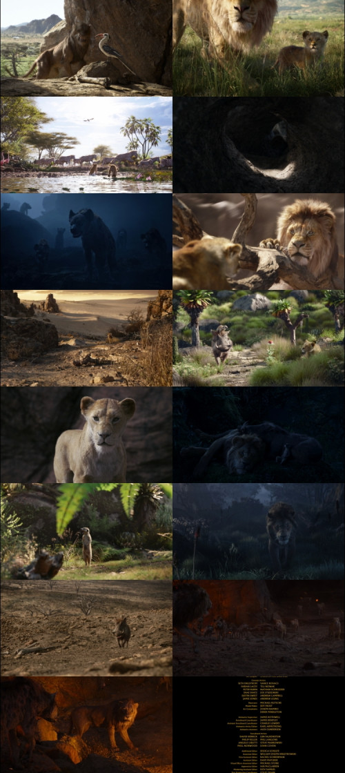The.Lion.King.2019.1080p.BluRay.Hindi.English.DD2.0.x264.ESubs.Untouch_s.jpg