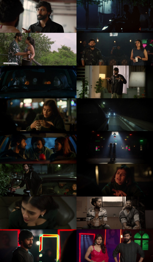 Mario.2025.1080p.Web-DL.Hindi.Telugu.DD2.0.x264.ESubs.Untouch_s.jpg