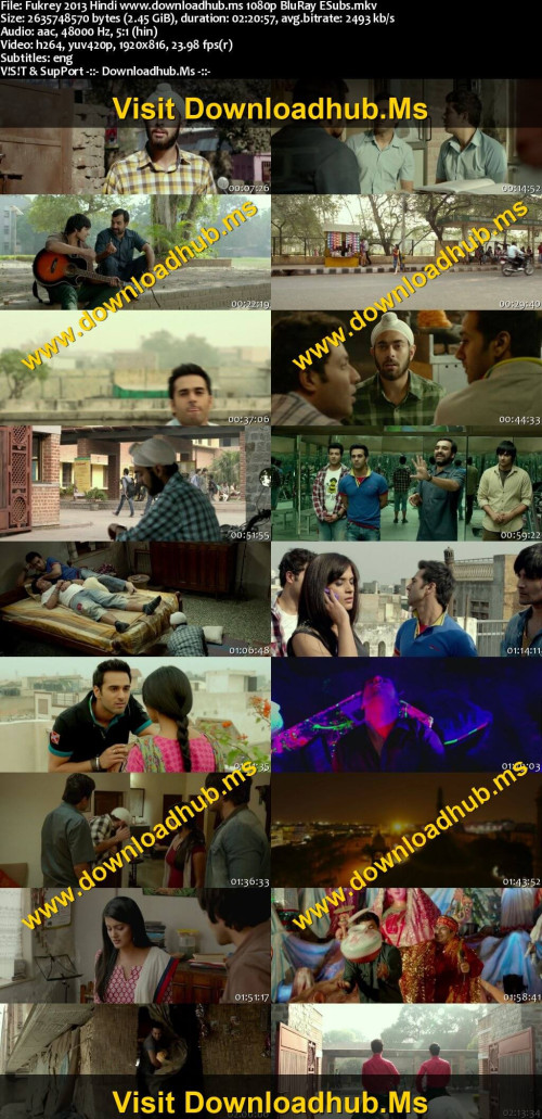 Fukrey-2013-Hindi-www.downloadhub.ms-1080p-BluRay-ESubs_s.jpg
