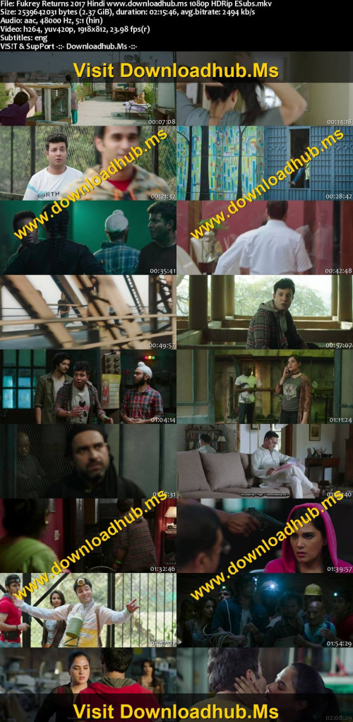 Fukrey-Returns-2017-Hindi-www.downloadhub.ms-1080p-HDRip-ESubs_s.jpg