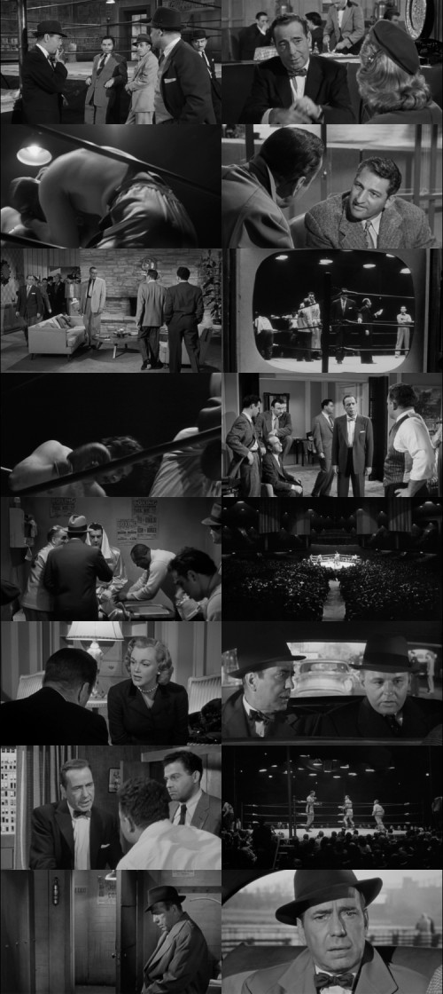 The.Harder.They.Fall.1956.1080p.BluRay.Hindi.English.DD2.0.x264.ESubs.Untouch_s.jpg