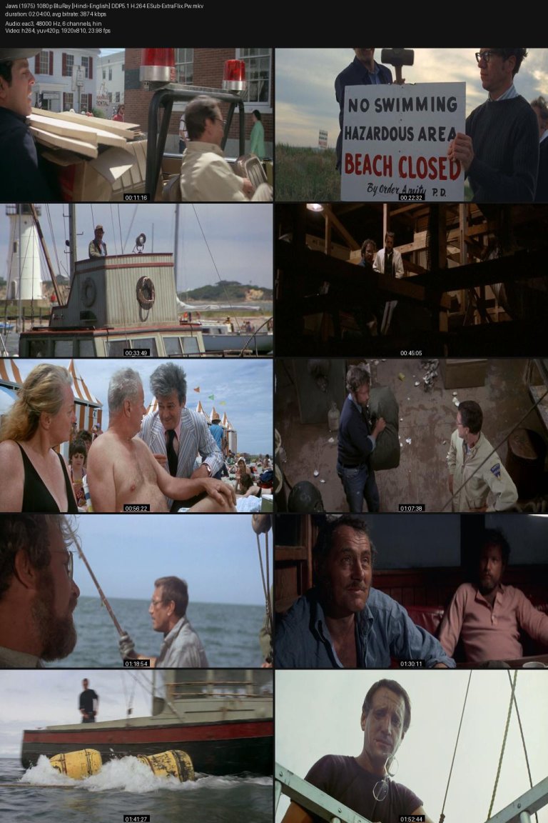 Jaws-1975-1080p-BluRay-Hindi-English-DDP5.1-H.264-ESub-ExtraFlix.Pw.jpg