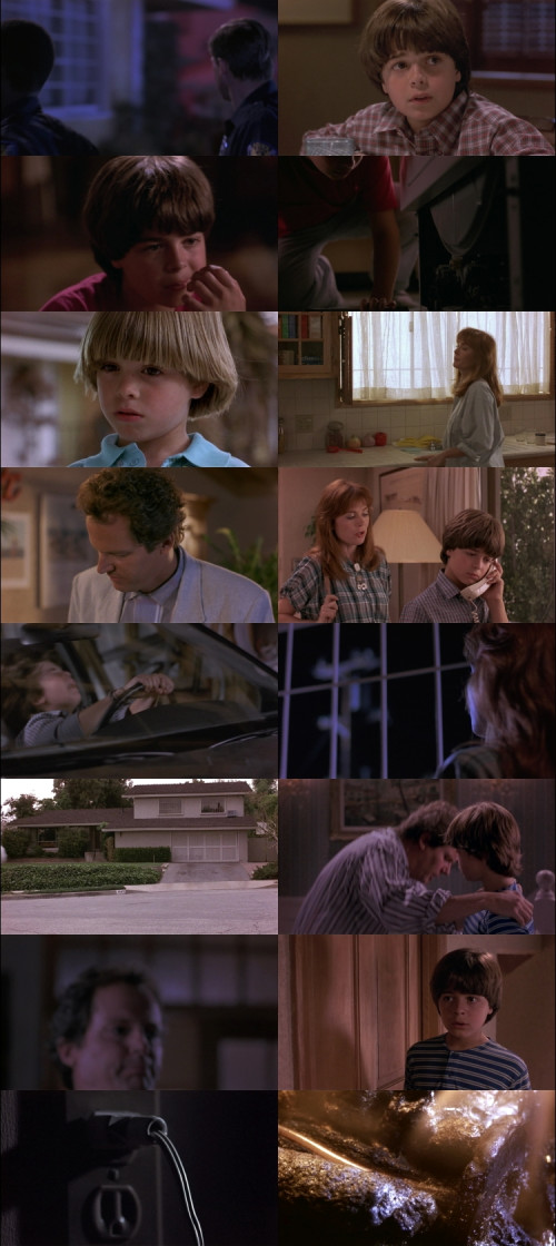 Pulse.1988.1080p.BluRay.Hindi.English.DD2.0.x264.ESubs.Untouch_s.jpg
