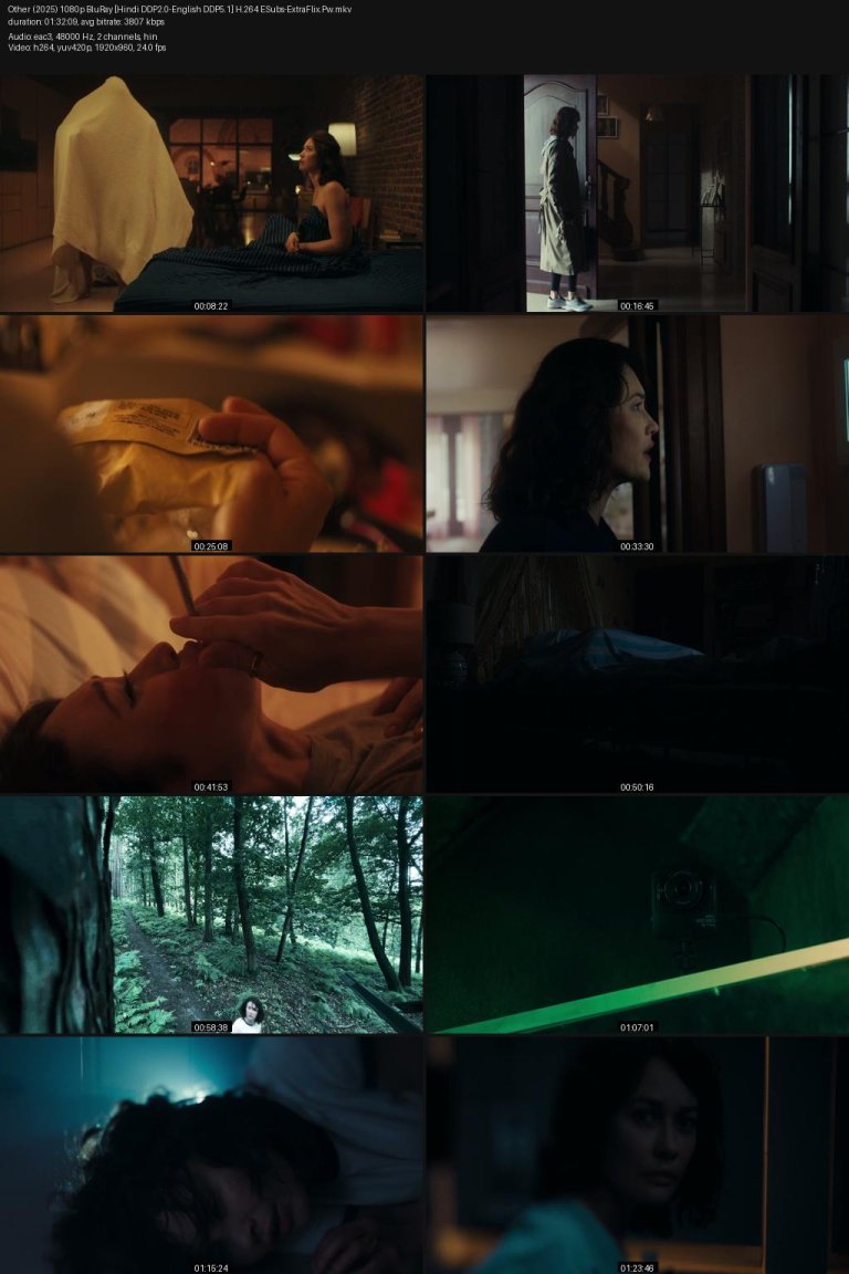 Other-2025-1080p-BluRay-Hindi-DDP2.0-English-DDP5.1-H.264-ESubs-ExtraFlix.Pw.jpg