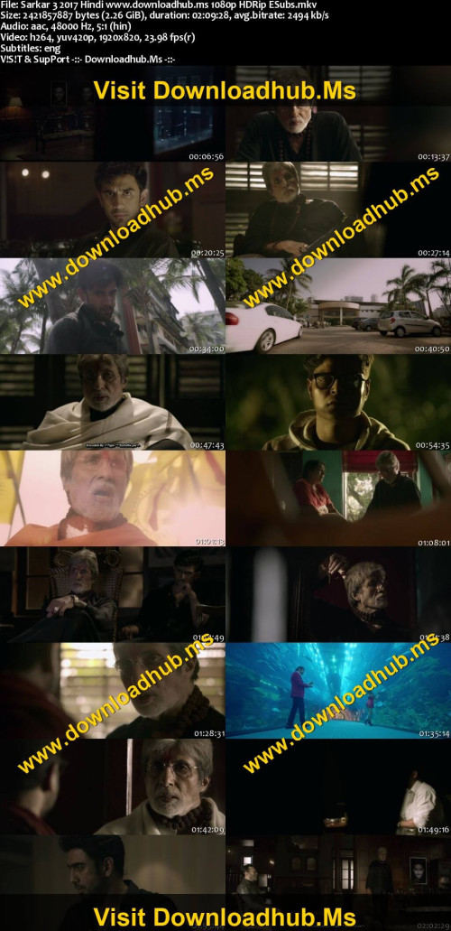 Sarkar-3-2017-Hindi-www.downloadhub.ms-1080p-HDRip-ESubs_s.jpg