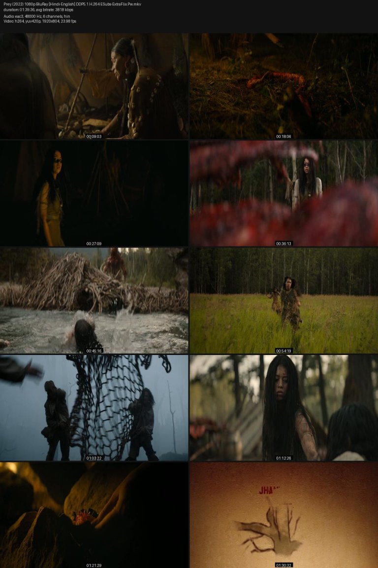 Prey-2022-1080p-BluRay-Hindi-English-DDP5.1-H.264-ESubs-ExtraFlix.Pw.jpg