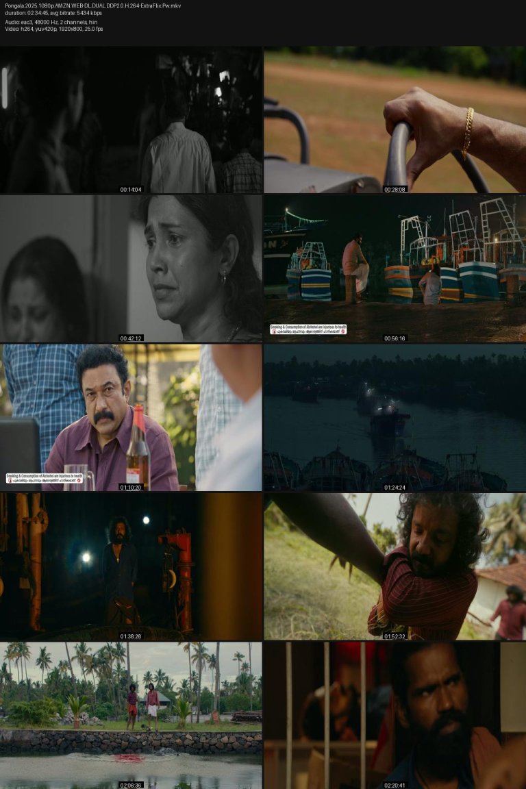 Pongala.2025.1080p.AMZN.WEB-DL.DUAL.DDP2.0.H.264-ExtraFlix.Pw.jpg