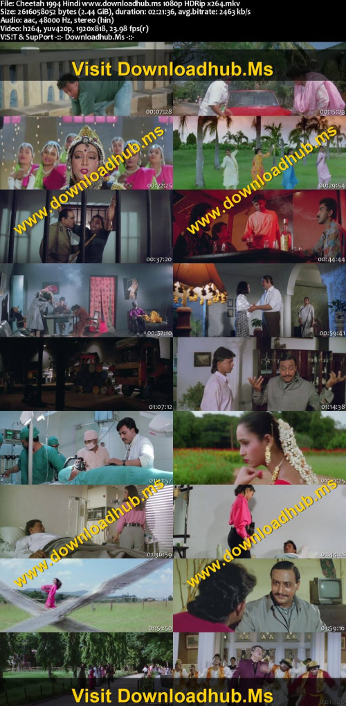 Cheetah-1994-Hindi-www.downloadhub.ms-1080p-HDRip-x264_s.jpg