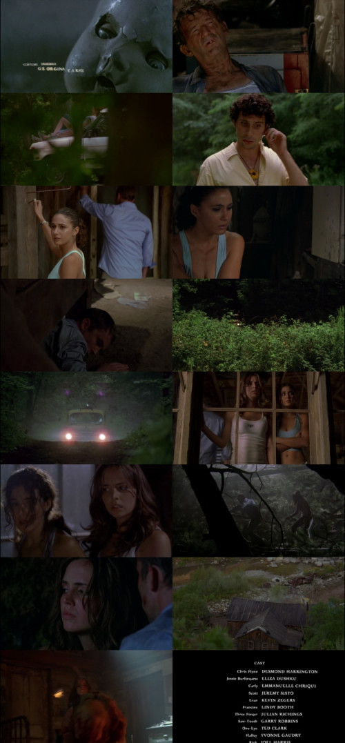 Wrong.Turn.2003.1080p.BluRay.Hindi.English.DD5.1.x264.ESubs_s.jpg