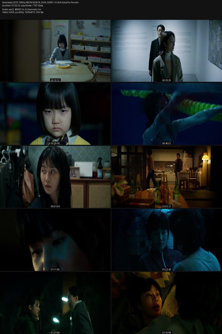 Somebody.2025.1080p.AMZN.WEB-DL.DUAL.DDP5.1.H.264-ExtraFlix.Pw.jpg
