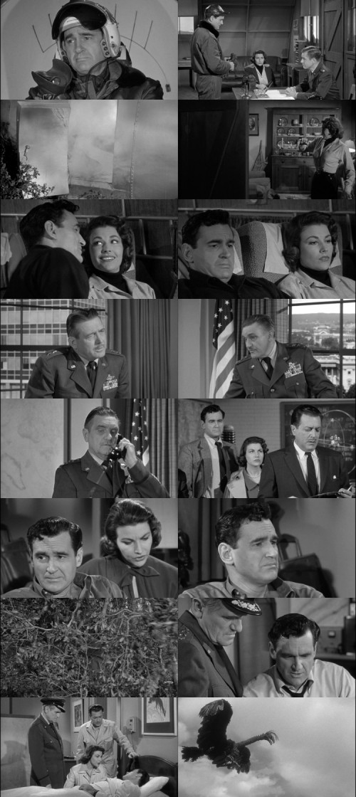 The.Giant.Claw.1957.1080p.BluRay.Hindi.English.DD2.0.x264.ESubs_s.jpg