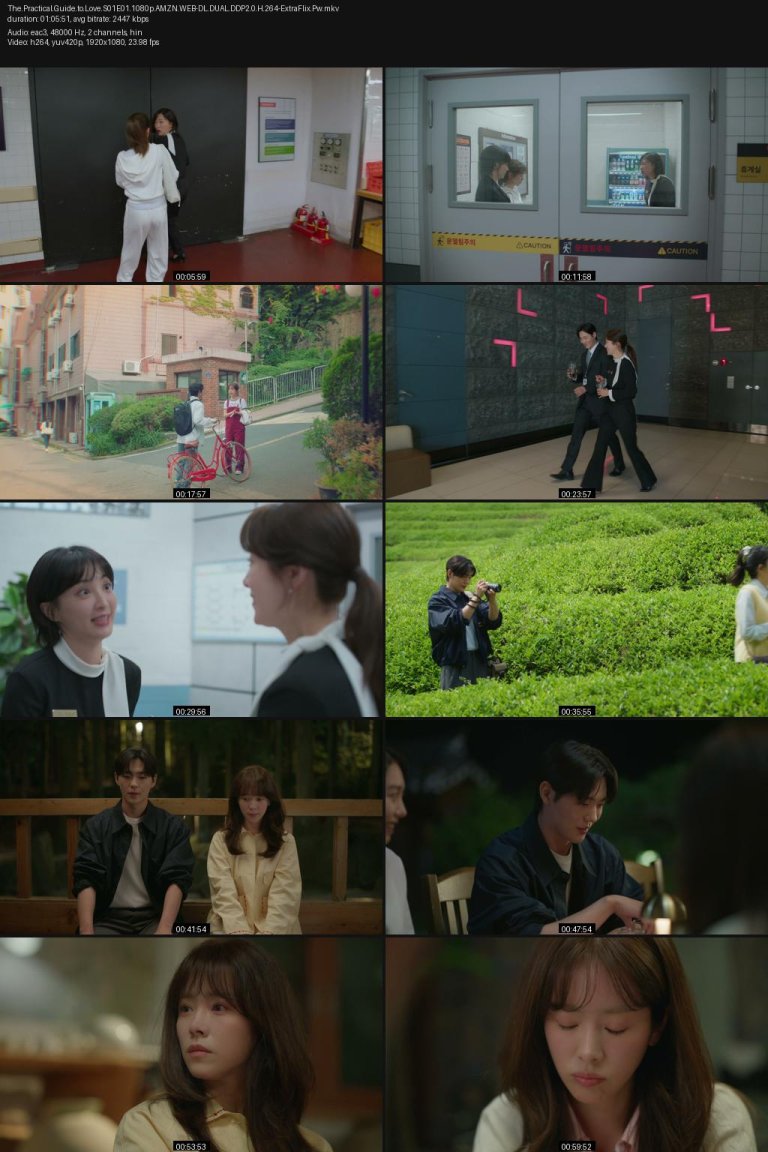 The.Practical.Guide.to.Love.S01E01.1080p.AMZN.WEB-DL.DUAL.DDP2.0.H.264-ExtraFlix.Pw.jpg