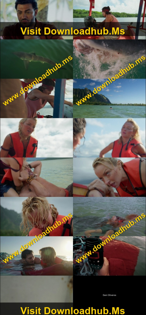 The-Bay-2026-Hindi-ORG-Dual-Audio-www.ExtraFlix.pw-1080p-Web-DL-x264-ESubs_s.jpg