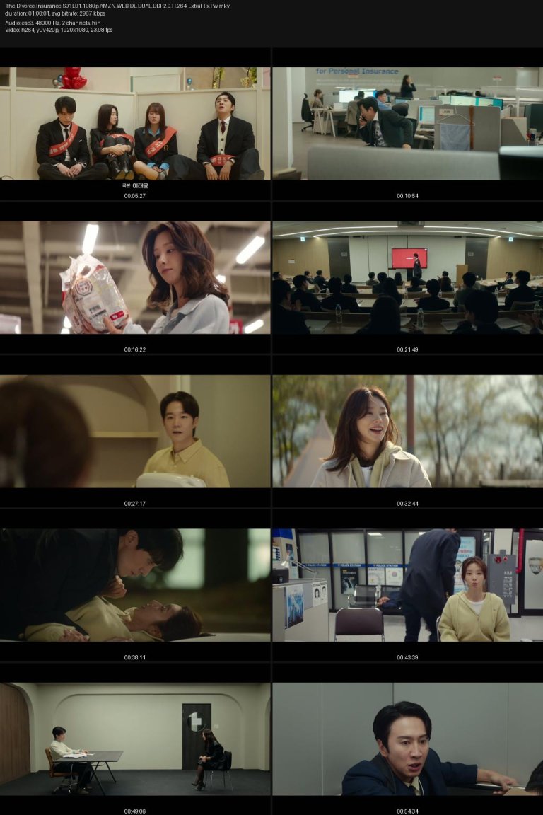 The.Divorce.Insurance.S01E01.1080p.AMZN.WEB-DL.DUAL.DDP2.0.H.264-ExtraFlix.Pw.jpg