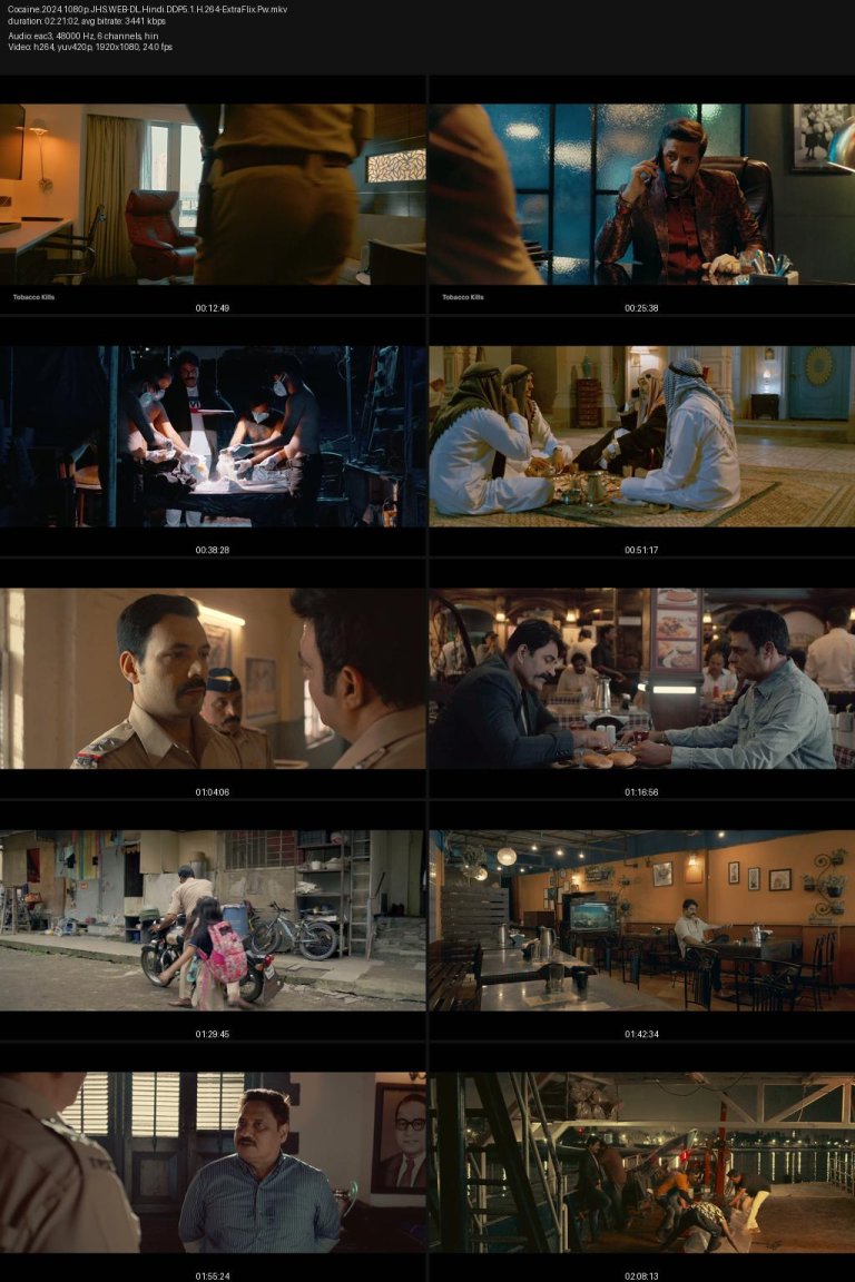 Cocaine.2024.1080p.JHS.WEB-DL.Hindi.DDP5.1.H.264-ExtraFlix.Pw.jpg