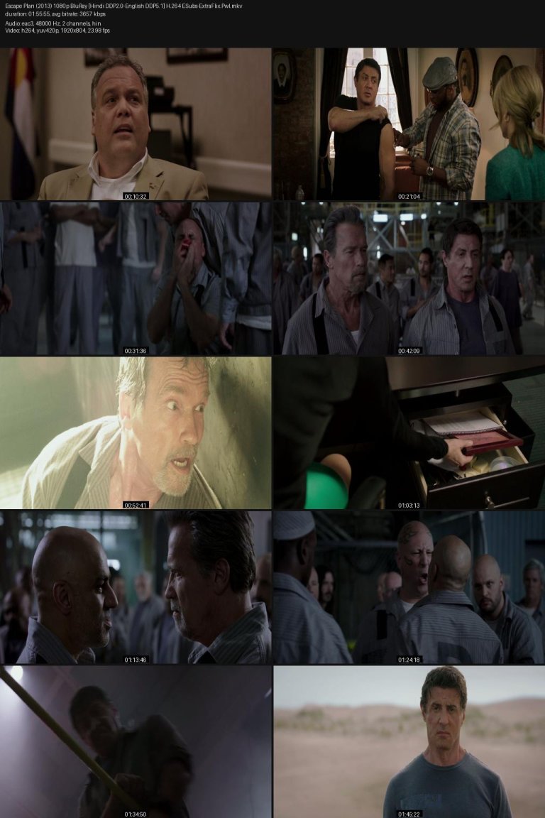 Escape-Plan-2013-1080p-BluRay-Hindi-DDP2.0-English-DDP5.1-H.264-ESubs-ExtraFlix.Pwl.jpg