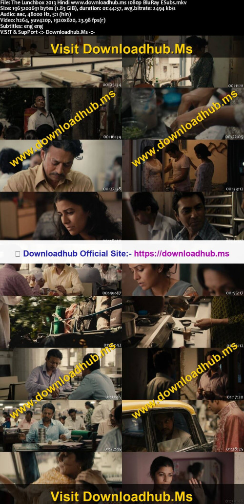 The-Lunchbox-2013-Hindi-www.downloadhub.ms-1080p-BluRay-ESubs_s.jpg