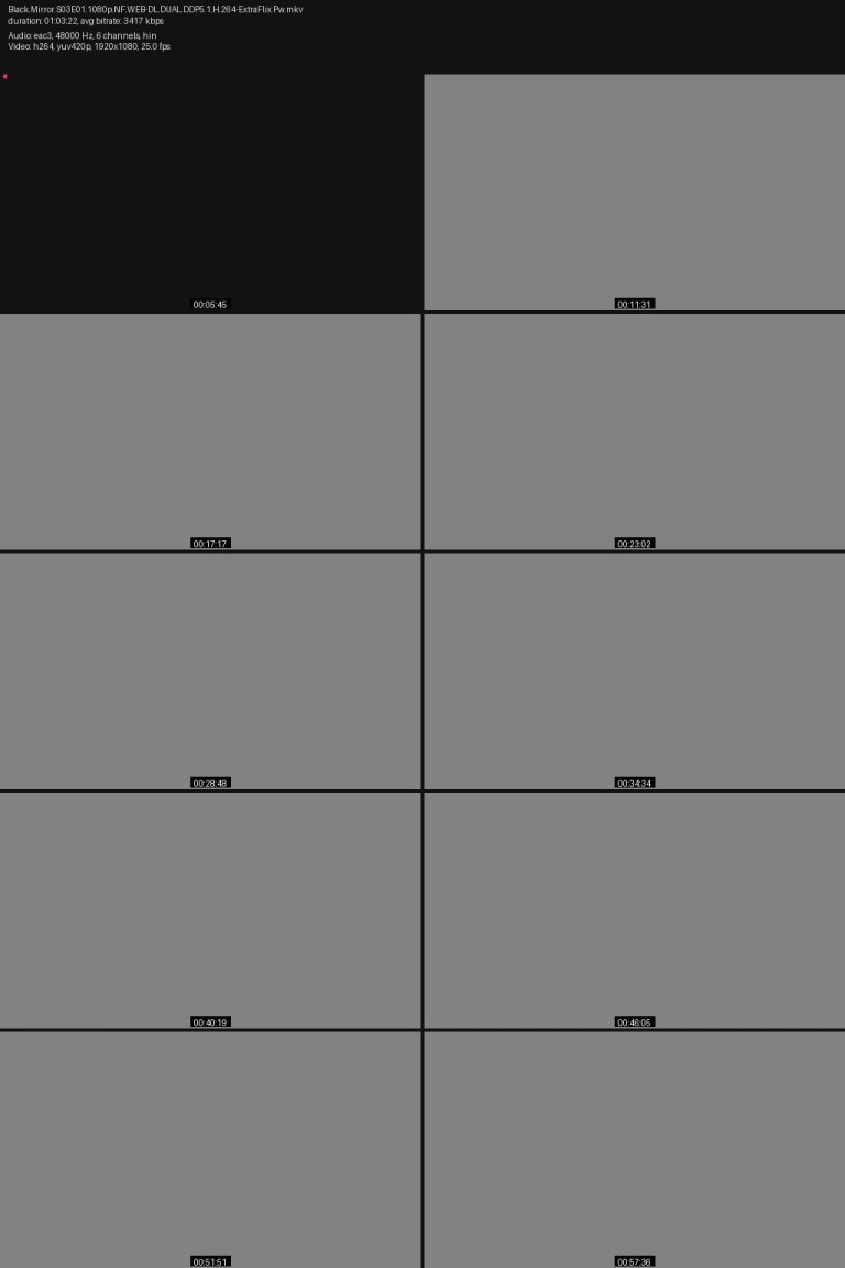 Black.Mirror.S03E01.1080p.NF.WEB-DL.DUAL.DDP5.1.H.264-ExtraFlix.Pw.jpg