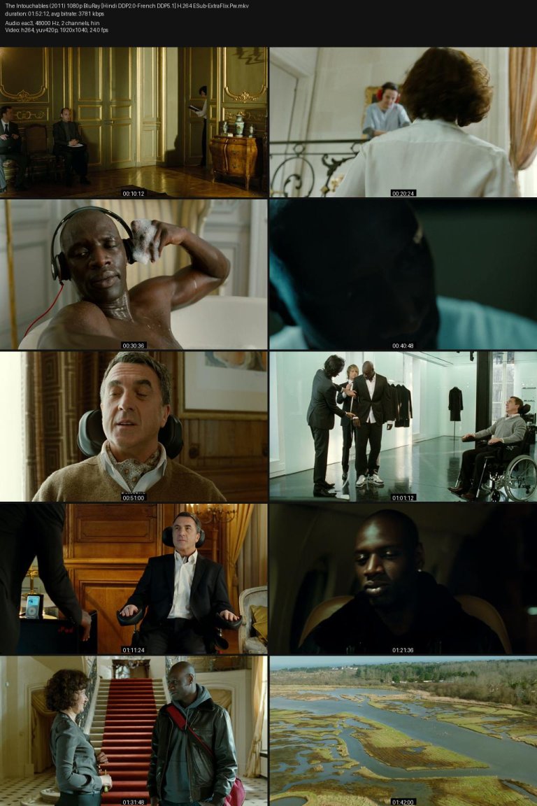 The-Intouchables-2011-1080p-BluRay-Hindi-DDP2.0-French-DDP5.1-H.264-ESub-ExtraFlix.Pw.jpg