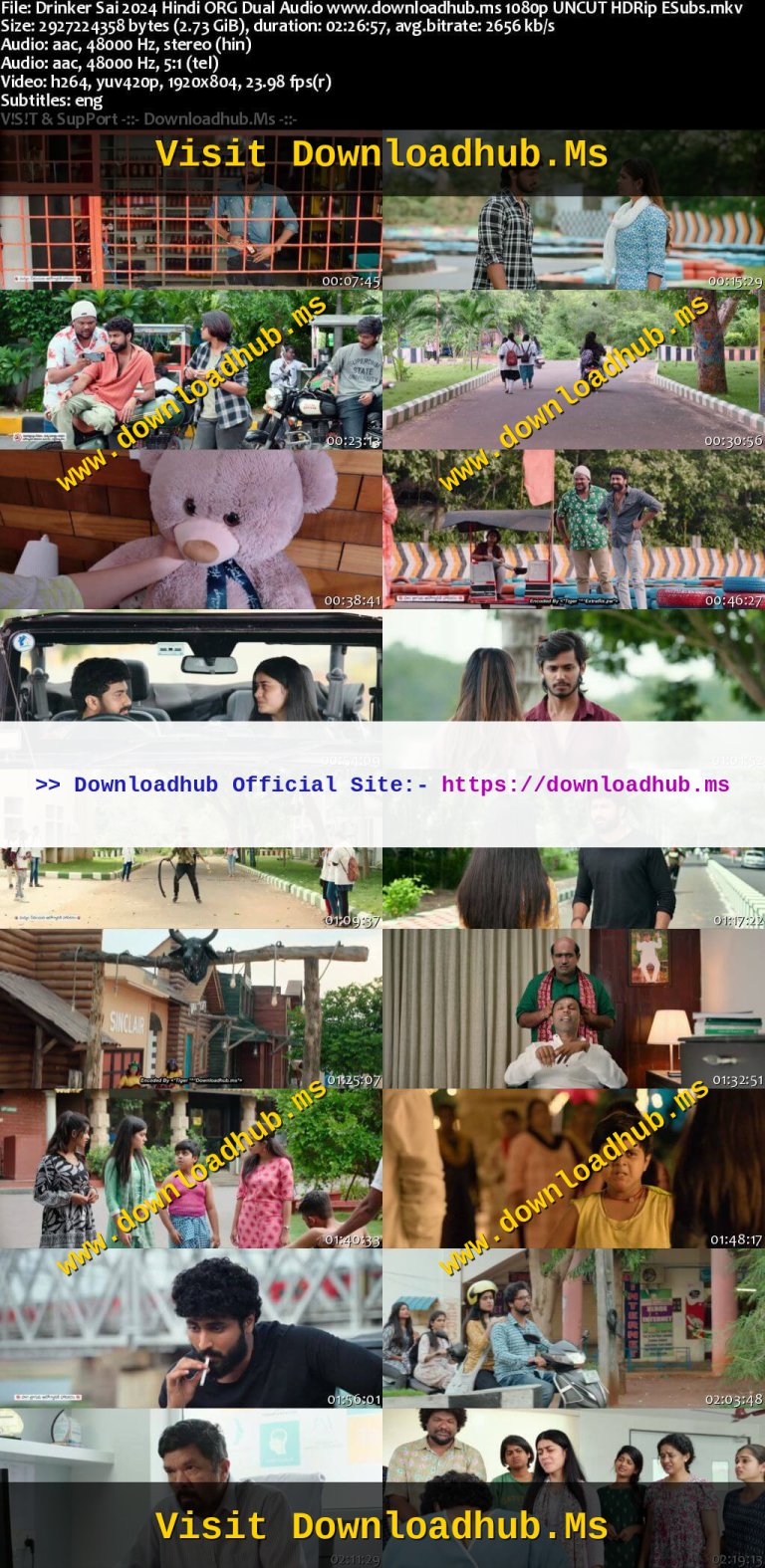 Drinker-Sai-2024-Hindi-ORG-Dual-Audio-www.downloadhub.ms-1080p-UNCUT-HDRip-ESubs_s.jpg