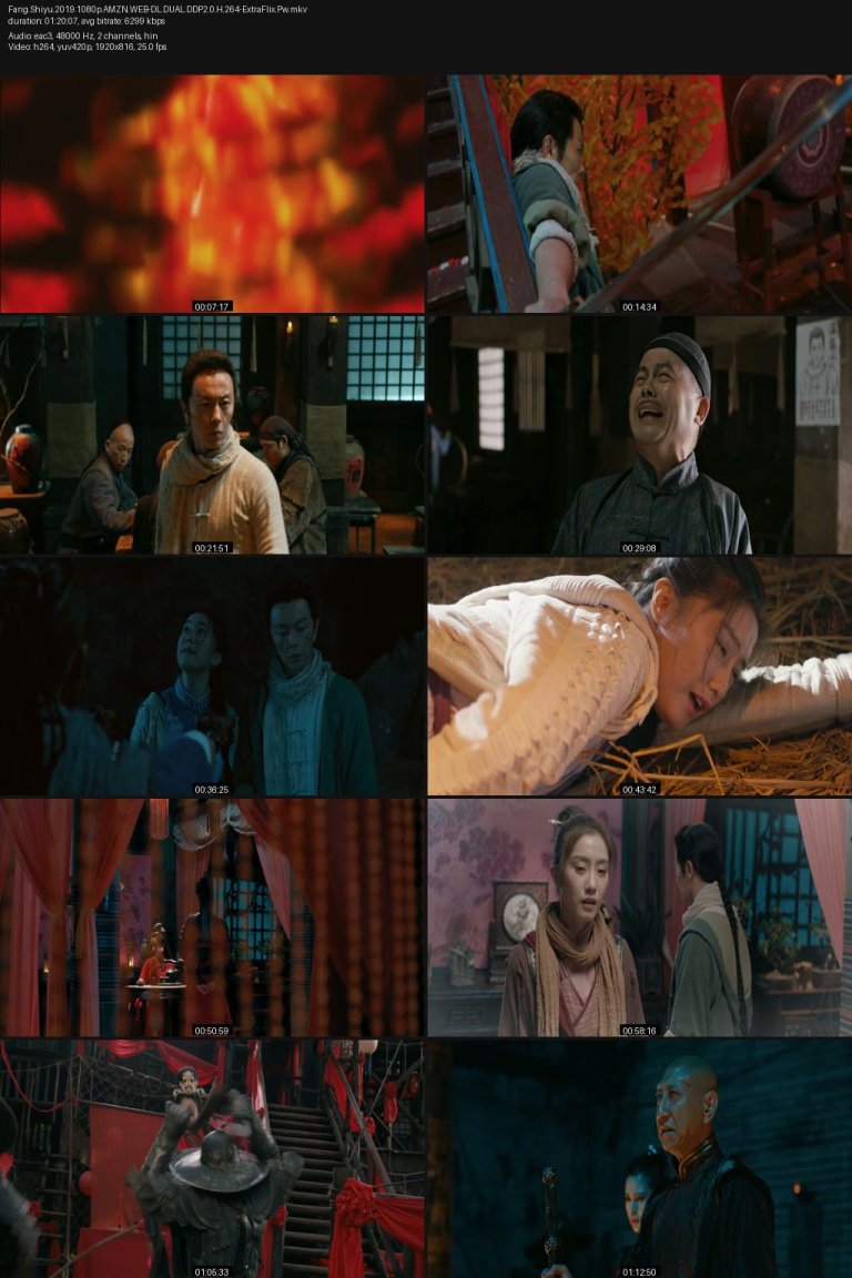 Fang.Shiyu.2019.1080p.AMZN.WEB-DL.DUAL.DDP2.0.H.264-ExtraFlix.Pw.jpg
