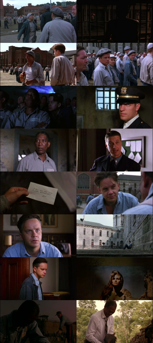 The.Shawshank.Redemption.1994.1080p.BluRay.Hindi.English.DD5.1.x264.ESubs_s.jpg