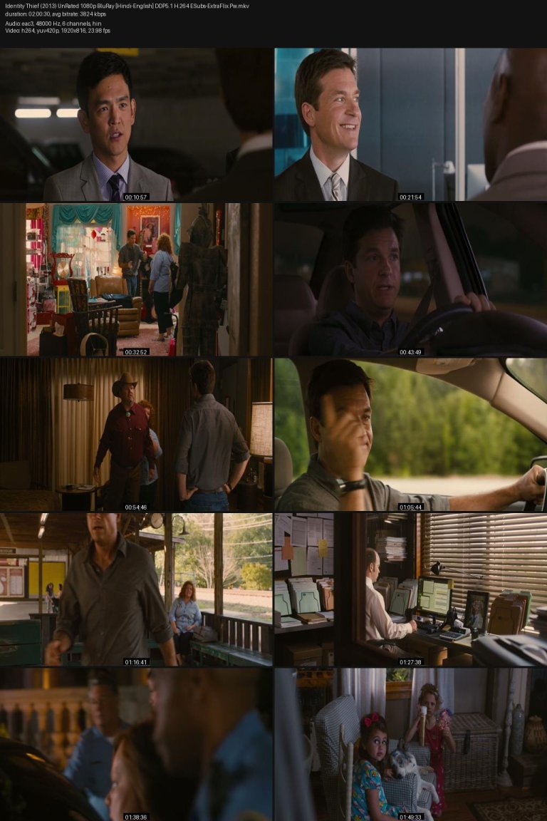 Identity-Thief-2013-UnRated-1080p-BluRay-Hindi-English-DDP5.1-H.264-ESubs-ExtraFlix.Pw.jpg