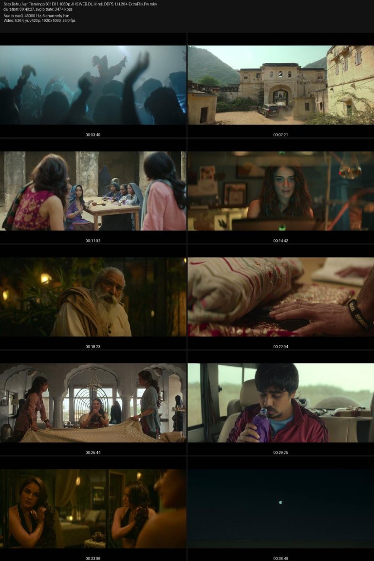 Saas.Bahu.Aur.Flamingo.S01E01.1080p.JHS.WEB-DL.Hindi.DDP5.1.H.264-ExtraFlix.Pw.jpg