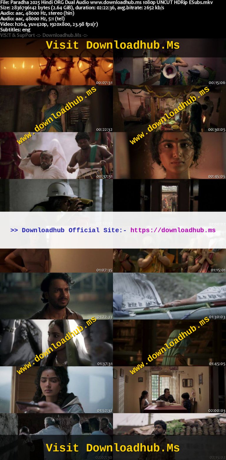 Paradha-2025-Hindi-ORG-Dual-Audio-www.downloadhub.ms-1080p-UNCUT-HDRip-ESubs_s.jpg