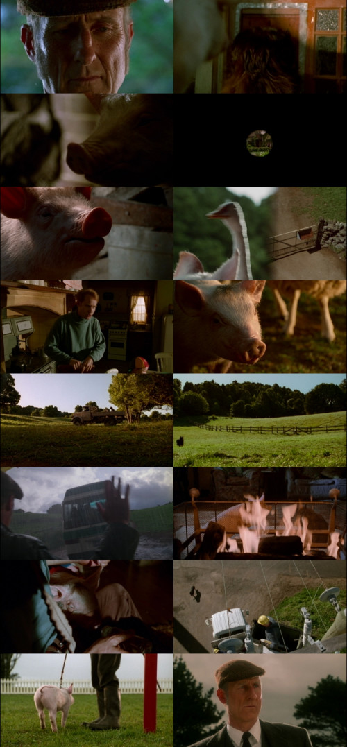 Babe.1995.1080p.BluRay.Hindi.English.DD2.0.x264.ESubs.Untouch_s.jpg
