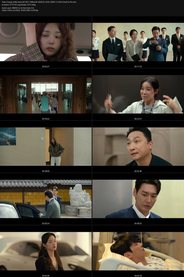 Take.Charge.of.My.Heart.S01E01.1080p.NF.WEB-DL.DUAL.DDP5.1.H.264-ExtraFlix.Pw.jpg