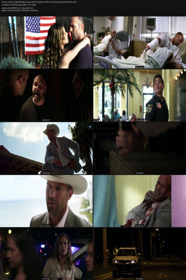 Parker-2013-1080p-BluRay-Hindi-DD2.0-English-DDP5.1-H.264-ESubs-ExtraFlix.Pw.jpg