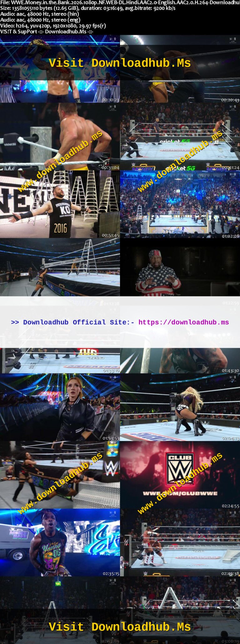WWE.Money.in.the.Bank.2026.1080p.NF.WEB-DL.Hindi.AAC2.0-English.AAC2.0.H.264-Downloadhub.Ms_s.jpg