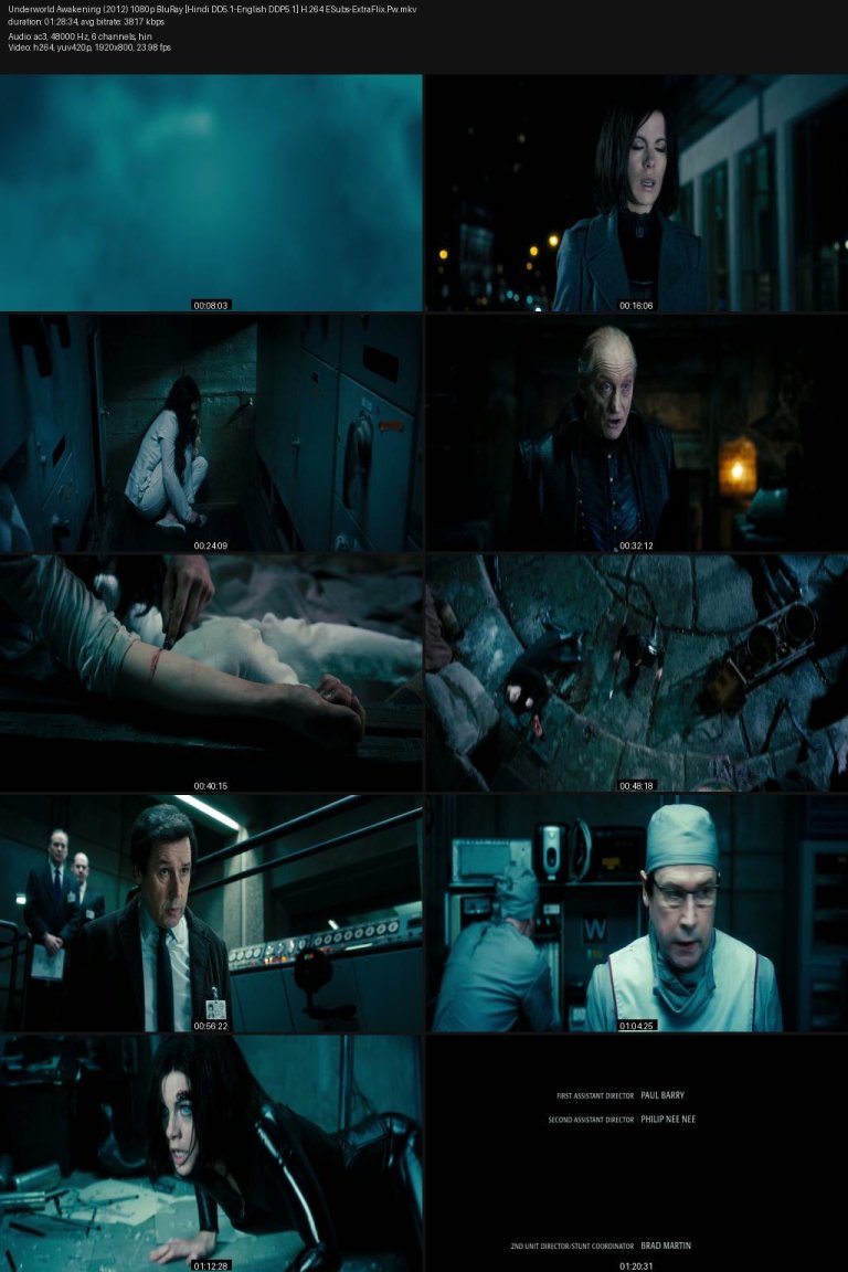 Underworld-Awakening-2012-1080p-BluRay-Hindi-DD5.1-English-DDP5.1-H.264-ESubs-ExtraFlix.Pw.jpg