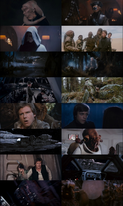 Star.Wars.Episode.VI.1983.1080p.BluRay.Hindi.English.DD5.1.x264.ESubs_s.jpg