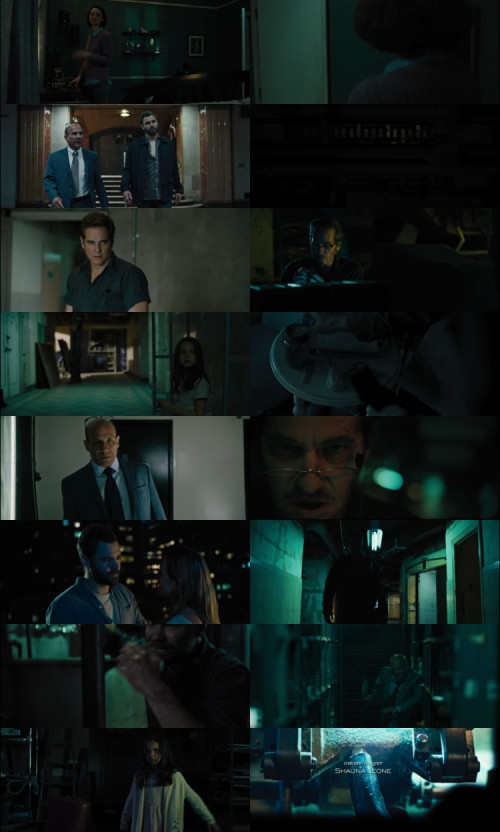 The.Super.2018.1080p.Web-DL.Hindi.English.DD2.0.x264.ESubs.Untouch_s.jpg